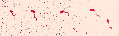 flagella stain