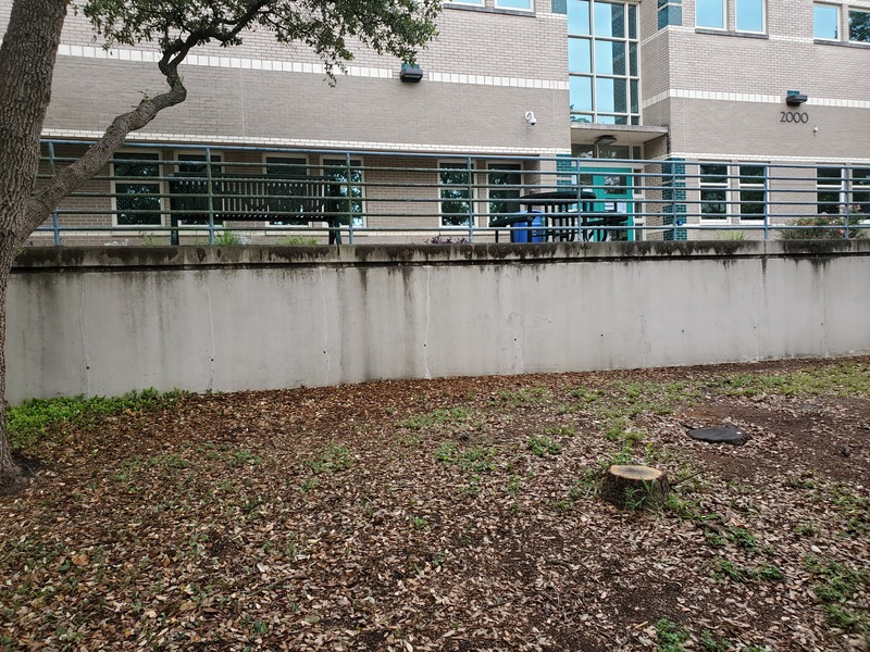 Before: Wall behind Northridge Campus Building 2000